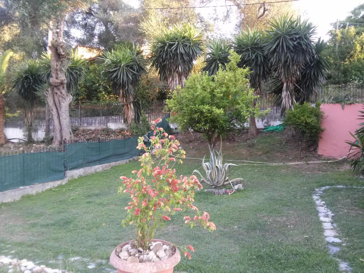 דאסיה Stathis Apartments מראה חיצוני תמונה